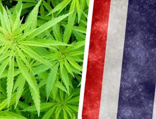 Thailand Legalizes Cannabis (You can even buy online and delivered to your door!)