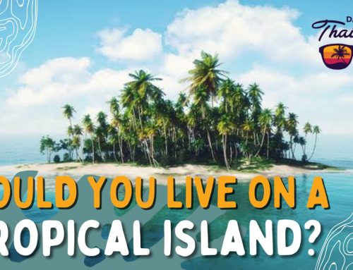 Could you live on a tropical island?