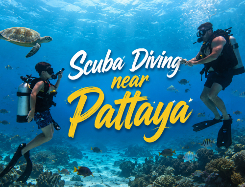 My Son’s First Scuba Dive in Thailand 🇹🇭