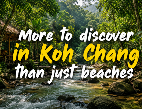 Amazing discovery in the jungles of Koh Chang